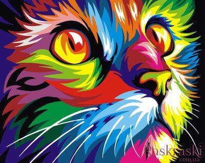 Раскраска по цифрам Радужный кот (BRM4228) фото интернет-магазина Raskraski.com.ua