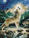 Набор алмазная вышивка Волк при луне Rainbow Art (EJ1006, На подрамнике) — фото комплектации набора