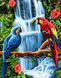 Картина з мозаїки Папуги біля водоспаду ТМ Алмазная мозаика (DMF-332) — фото комплектації набору