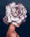 Картина за номерами Дівчина-троянда. Емі Джадд (VP1334) Babylon — фото комплектації набору
