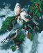 Рисование по номерам Зимние птички (KH4081) Идейка — фото комплектации набора