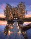 Картина по номерам Дом у озера (BRM41237) НикиТошка — фото комплектации набора