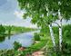 Картина за номерами Берізки біля річки (BRM24184) — фото комплектації набору