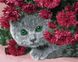 Алмазная картина Кот в цветах (BGZS1093) Rainbow Art — фото комплектации набора