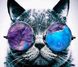 Алмазная вышивка Кот в очках (JA20941) Диамантовые ручки (GU_188320, Без подрамника) — фото комплектации набора
