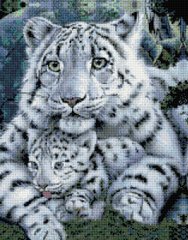 Набор алмазная вышивка Белые тигры ColorArt (CLR-PSP061, На подрамнике) фото интернет-магазина Raskraski.com.ua