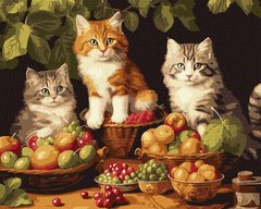 Рисунок по цифрам Котики и фрукты ©art_selena_ua (KHO6586) Идейка (Без коробки)