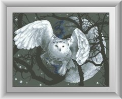Алмазная живопись Ночная сова (квадратные камни, полная зашивка) Dream Art (DA-30527, Без подрамника) фото интернет-магазина Raskraski.com.ua