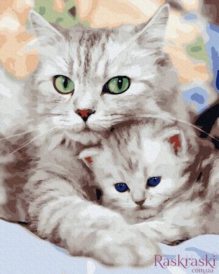 Картины по номерам Зеленоглазая кошка с котенком (BRM36536) фото интернет-магазина Raskraski.com.ua
