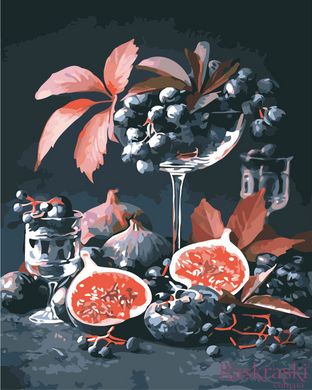 Раскраска для взрослых Инжир и виноград (AS0917) ArtStory фото интернет-магазина Raskraski.com.ua