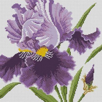 Картина стразами Ірис (35 х 35 см) Dream Art (DA-31603) 35 х 35 см фото інтернет-магазину Raskraski.com.ua