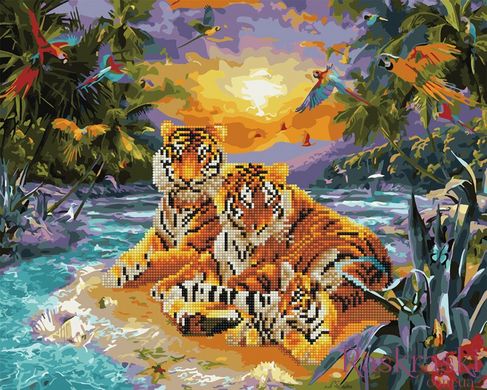 Алмазна картина Сім'я тигрів (BGZS1094) Rainbow Art фото інтернет-магазину Raskraski.com.ua