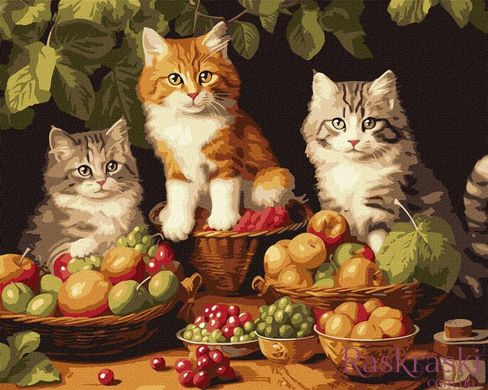Рисунок по цифрам Котики и фрукты ©art_selena_ua (KHO6586) Идейка (Без коробки)