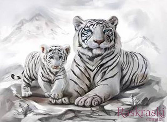 Алмазная вышивка Бенгальские тигры (GA73257) Диамантовые ручки (GU_188895, На подрамнике) фото интернет-магазина Raskraski.com.ua