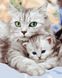Картины по номерам Зеленоглазая кошка с котенком (BRM36536) — фото комплектации набора
