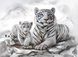 Алмазна вишивка Бенгальські тигри (GA73257) Диамантовые ручки (GU_188895) — фото комплектації набору