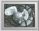 Алмазная живопись Ночная сова (квадратные камни, полная зашивка) Dream Art (DA-30527, Без подрамника) — фото комплектации набора