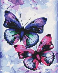 Картина раскраска Блестящие бабочки (BSM-B51407) фото интернет-магазина Raskraski.com.ua