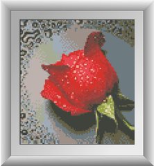 Картина из страз Роса на красной розе (полная зашивка, квадратные камни) Dream Art (DA-30288, Без подрамника) фото интернет-магазина Raskraski.com.ua