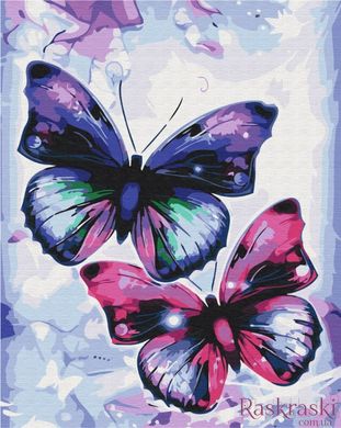 Картина раскраска Блестящие бабочки (BSM-B51407) фото интернет-магазина Raskraski.com.ua