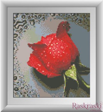 Картина из страз Роса на красной розе (полная зашивка, квадратные камни) Dream Art (DA-30288, Без подрамника) фото интернет-магазина Raskraski.com.ua