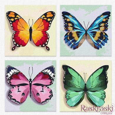 Картина по номерам Весенние бабочки (KNP021) Идейка фото интернет-магазина Raskraski.com.ua