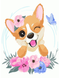 Раскраски по номерам Корги в цветочках (MEX7103) BrushMe — фото комплектации набора