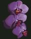 Картина из мозаики Орхидеи ArtStory (ASM35, На подрамнике) — фото комплектации набора
