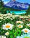 Картина за номерами Мальовниче гірське озеро (BRM45518) — фото комплектації набору
