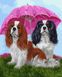 Раскраска по номерам Собачки под зонтом (BRM27763) — фото комплектации набора