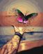 Картина за номерами Різнобарвний метелик (BRM39305) — фото комплектації набору