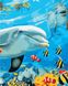 Картина по номерам Улыбка дельфина (AS0868) ArtStory — фото комплектации набора