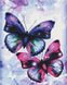 Картина раскраска Блестящие бабочки (BSM-B51407) — фото комплектации набора