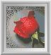 Картина з страз Роса на червоній троянді (повна зашивання, квадратні камені) Dream Art (DA-30288) — фото комплектації набору