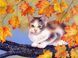 Картина стразами Котенок на ветке ТМ Алмазная мозаика (DM-255, Без подрамника) 30 х 40 см &mdash; фото комплектации набора