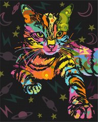 Картина по номерам Космический кот (BS51365) (Без коробки)