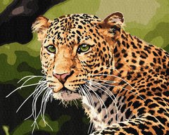 Картина за номерами Зеленоокий леопард (KH4322) Идейка фото інтернет-магазину Raskraski.com.ua