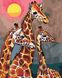 Картина по номерам Семья жирафов (AS0869) ArtStory — фото комплектации набора
