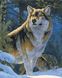 Алмазная картина Гордый волк (GZS1029) Rainbow Art (Без коробки) — фото комплектации набора