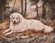 Алмазная картина Охотничья собака (GZS1059) BrushMe (Без коробки) — фото комплектации набора