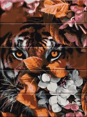 Раскраска для взрослых Взгляд тигра (ASW251) ArtStory фото интернет-магазина Raskraski.com.ua