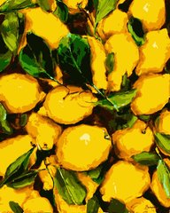 Картина по номерам Сочные лимоны (PNX1235) Artissimo (Без коробки)