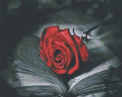 Картина мозаика Красная роза (GF4083) Алмазная мозаика (OSF031, Без подрамника) фото интернет-магазина Raskraski.com.ua
