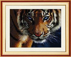 Набор алмазная мозаика Взгляд тигра (полная зашивка, квадратные камни) Dream Art (DA-30028, Без подрамника) фото интернет-магазина Raskraski.com.ua