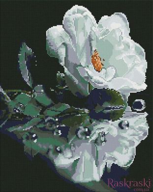 Алмазная мозаика Белая роза ColorArt (CLR-PSP123, На подрамнике) фото интернет-магазина Raskraski.com.ua