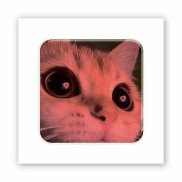 3D-стикер Kitty Love