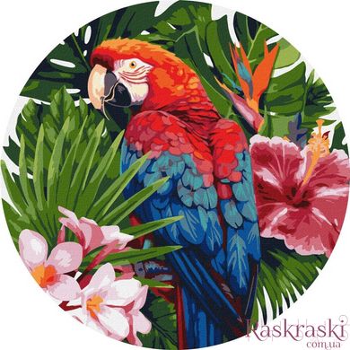 Картина по номерам Яркий попугай ©art_selena_ua (KHO-R1004) Идейка (Без коробки)
