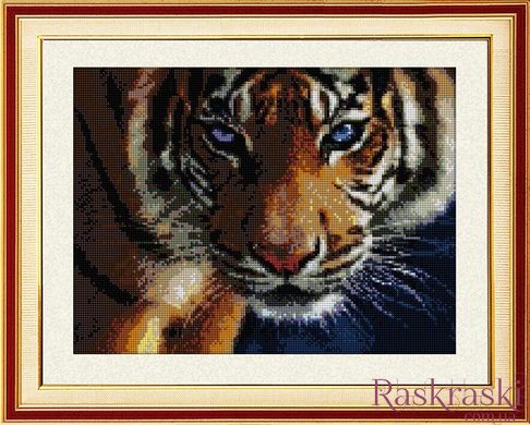 Набір алмазна мозаїка Погляд тигра (повна зашивання, квадратні камені) Dream Art (DA-30028) фото інтернет-магазину Raskraski.com.ua