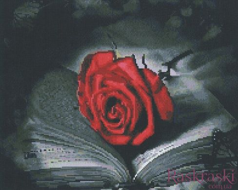 Картина мозаїка Червона троянда Алмазна мозаіка (OSF031) фото інтернет-магазину Raskraski.com.ua