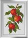 Картина з мозаїки Гілочка яблук Dream Art (DA-31370) — фото комплектації набору